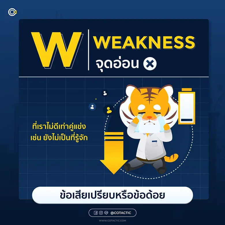 Weaknesses