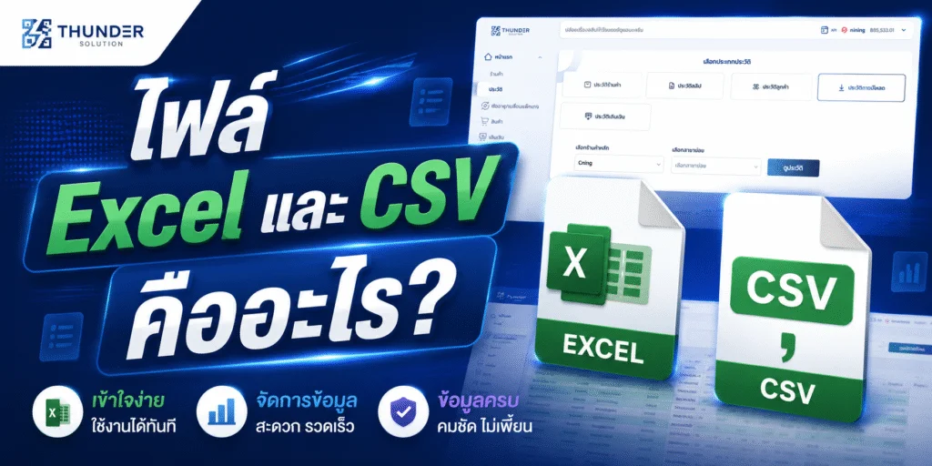 ไฟล์ Excel และ CSV คืออะไร?